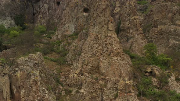 Habitat Of Griffon Vultures 5 alt