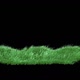 Grass Strong Wind Loop  - VideoHive Item for Sale