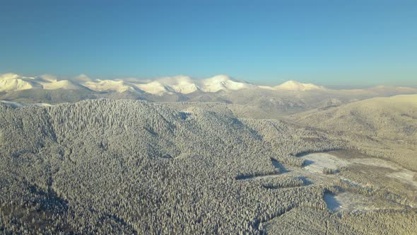 Aerial View of Winter Landscape with Mountain Hills Covered with Evergreen Pine Forest After Heavy alt