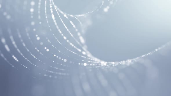 Beautiful Elegant Swirl Distorted Particle Lines Abstract Background alt