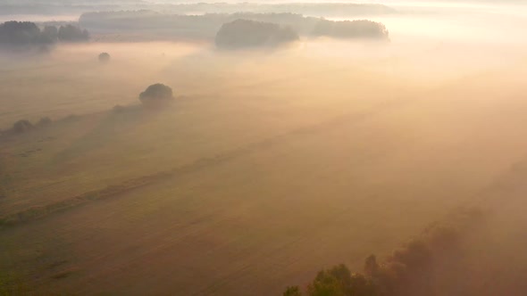 Aerial view landscape of sunrise fog covering field.