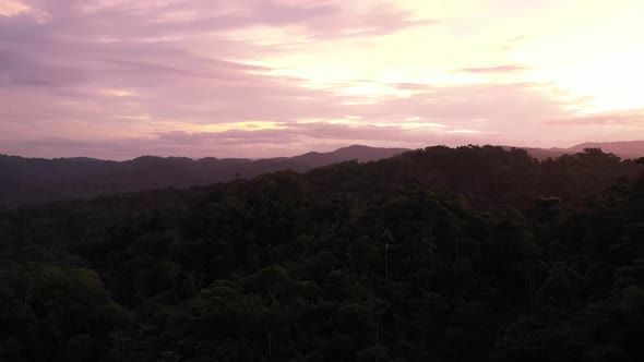Aerial view of silhouttes of trees visible in the evening with a bright yellow and pink colored sky alt