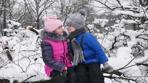 Children a Boy and a Girl Sit on a Log in the Winter in a Snowcovered Forest Rub Their Noses and