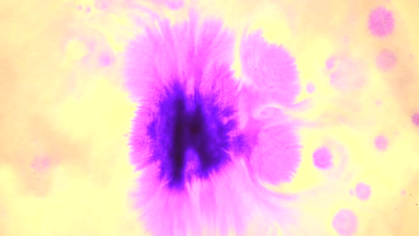 Beautiful Spreading Purple Ink Drops on Yellow Wet Smooth Surface alt