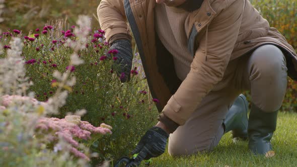 Aged Man Gardening alt