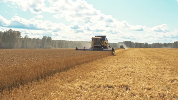 Industrial Farming Harvest Landscape with Combine alt