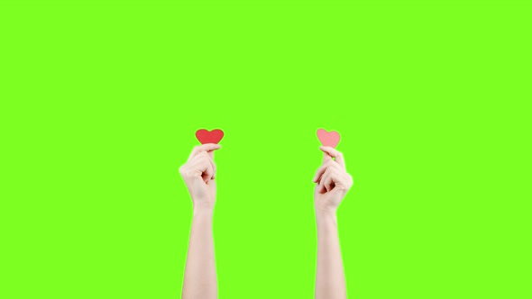 Female Blogger Hold in Hands Little Red Hearts on Green Screen alt