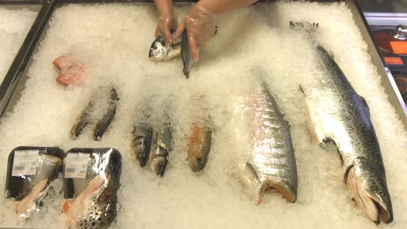 Fish Layout in Supermarket