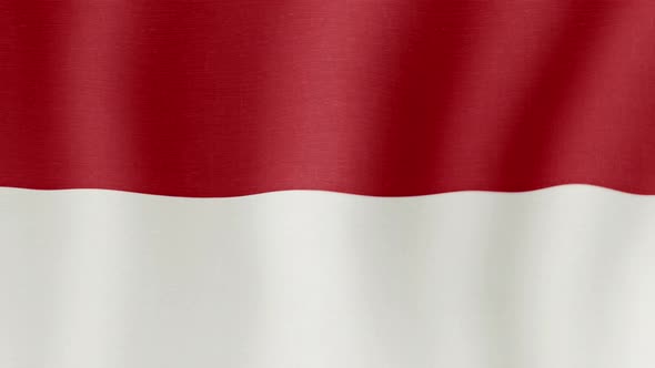 The National Flag of Indonesia