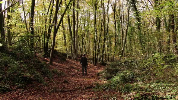 Hiker Man Walking Through the Forest in Autumn