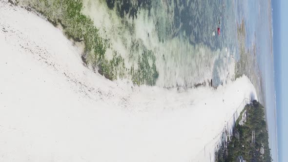 Zanzibar Tanzania  Vertical Video of the Ocean Near the Coast Slow Motion alt