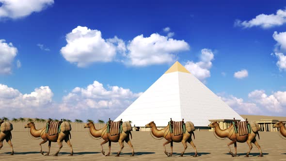 Cartoon Camel Caravan Going Through the Desert Near the
