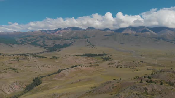 Hawk or Kite on Aerial Video of the Kurai Steppe