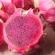 Slice of Dragon Fruit on a Chopping Board - VideoHive Item for Sale
