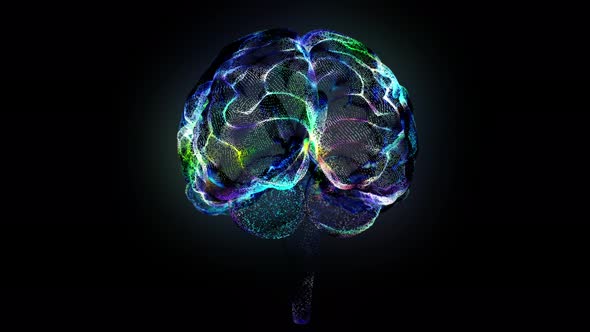 Rotating Around AI Digital Brain