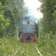 Locomotive Driving To The Distance Between Bushes - VideoHive Item for Sale