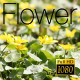 The Flower Field 7 - VideoHive Item for Sale