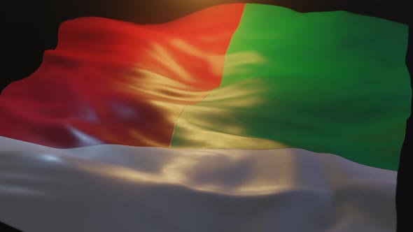 Madagascar Flag Low Angle View