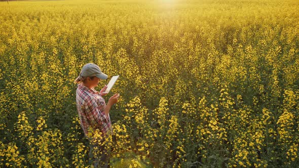 Woman Agronomist Uses Digital Tablet in Rapeseed Field alt