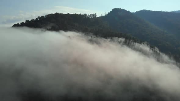 Aerial drone shot of amazing dense fog above river between mountains.