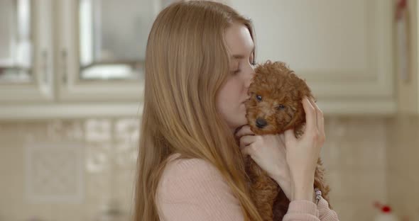 Young beautiful girl holding a poodle puppy in her arms. presses to itself. The puppy yawns.