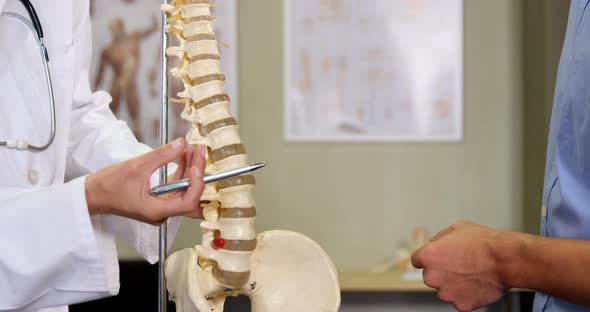 Physiotherapist explaining spine model to patient alt