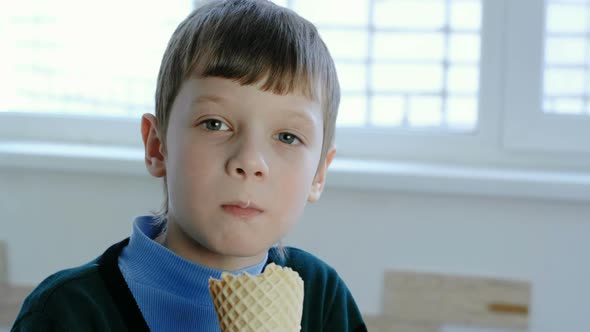 Smiling Seven-year-old Boy Licks Ice Cream Standing at the Window.