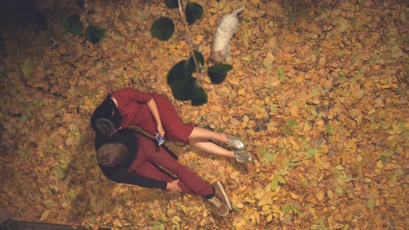 Young Couple with Dog among Yellow Leaves.