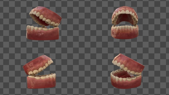 3D Teeth Set 4K