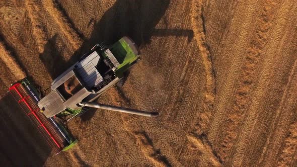 Aerial View of a Combine Harvester Unloading Grain Into a Tractor Trailer at Sunset alt