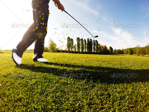 Golfer performs a golf shot from the fairway. - Stock Photo - Images