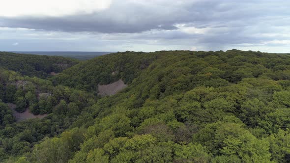 Drone Shot Flying Over Forest Landscape