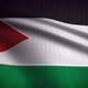Palestine Flag Seamless Loop - VideoHive Item for Sale