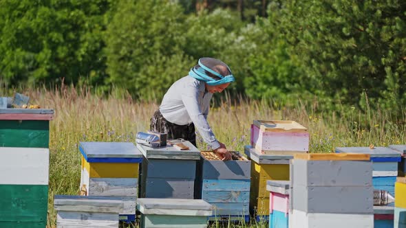 Beekeeper works on apiary. Happy apiculturist man inspects honeycombs on frame.  alt