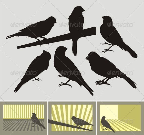 Bird silhouettes - Animals Characters