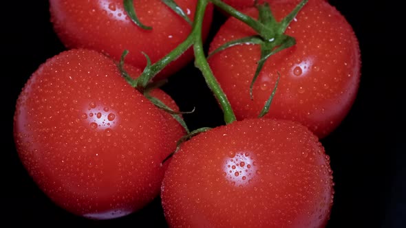 Top View Macro of Fresh Red Wet Tomatoes