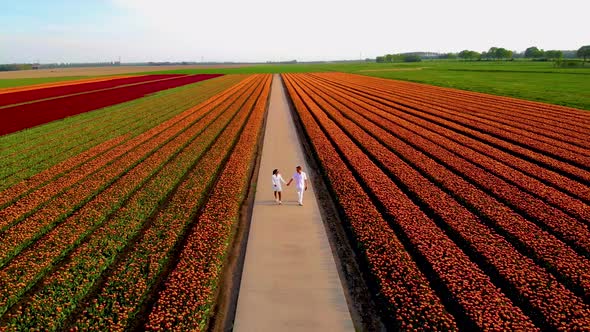 Couple Man and Woman in Flower Field Tulip Field in The Netherlands Colorful Tulip Fields in alt