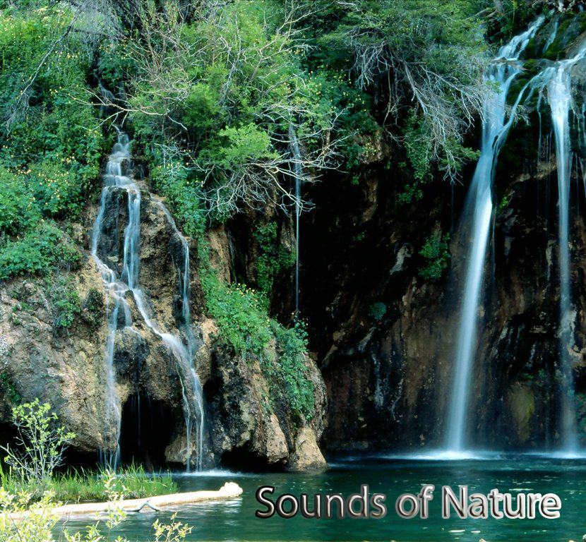 Sounds of Nature
