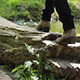 Walking on Tree Bridge - VideoHive Item for Sale