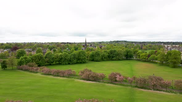 Aerial drone view footage of the beautiful blossom trees in the spring time