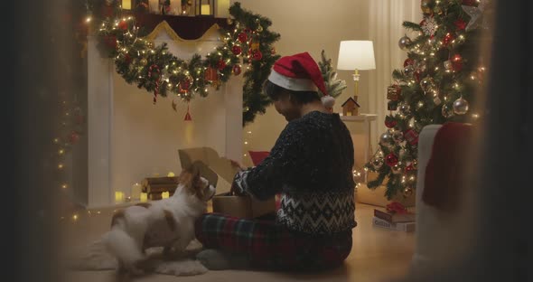 Merry Xmas eve festive unpack pet supply box at home shopping delivery alt