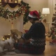 Merry Xmas eve festive unpack pet supply box at home shopping delivery - VideoHive Item for Sale