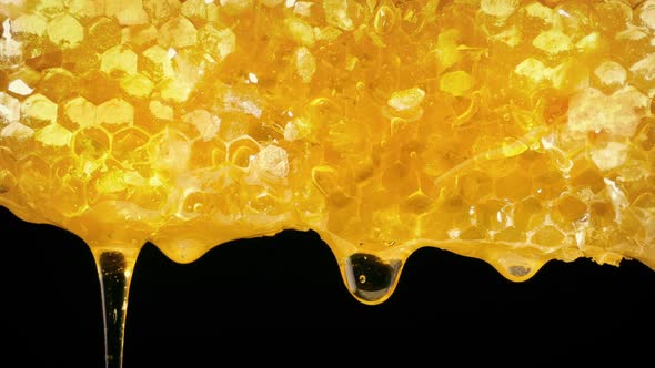 Lots Of Honey Running Down Honeycomb alt