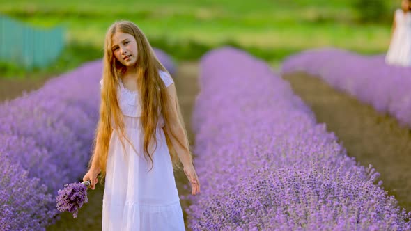 the Girl Walks Through the Lavender Field alt