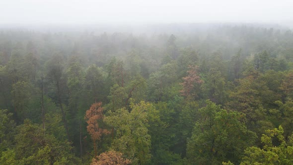 Forest in Fog in Rainy Autumn Weather. Ukraine. Aerial View, Slow Motion alt