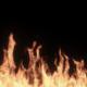 Fire Burning - VideoHive Item for Sale