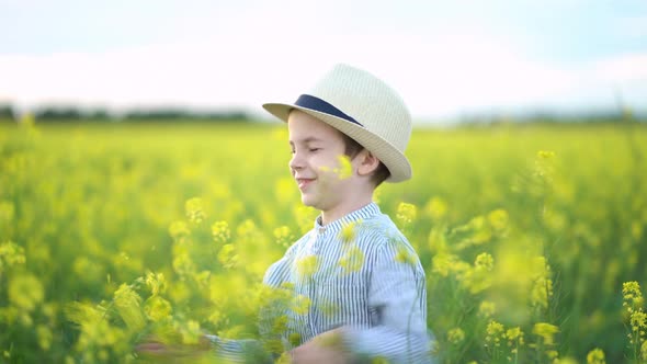 Little Boy in a Hat in Yellow Field of Rapeseed. alt