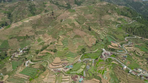 Farmland Mountain Province Philippines Luzon alt