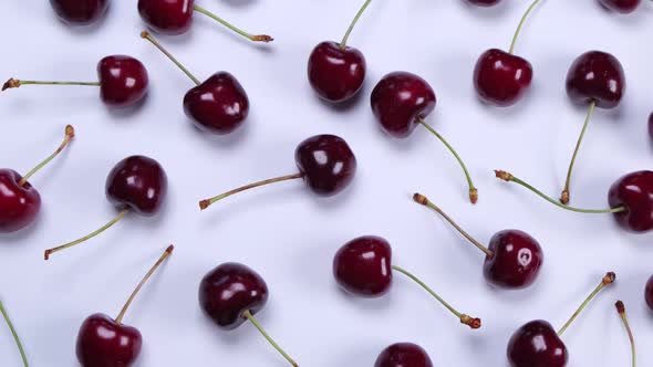 Background of Ripe Cherries with Water Drops on White Background Closeup Top View