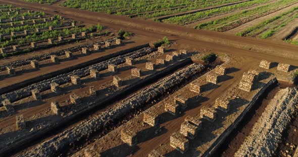 Peat Block Harvesting Field in Drained Bog Landscape Aerial View alt